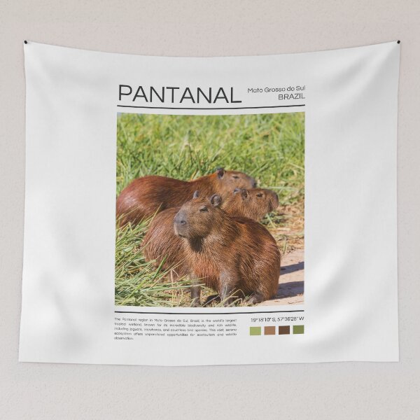 Item preview, Pantanal - Brazil - Photography designed and sold by StudioRedKoala.