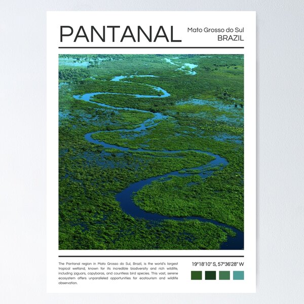 Item preview, Pantanal - Brazil - Photography designed and sold by StudioRedKoala.