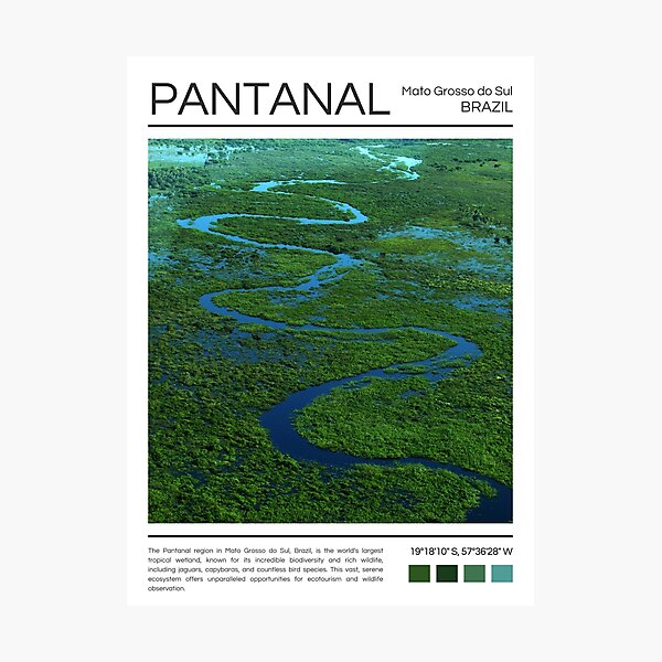 Item preview, Pantanal - Brazil - Photography designed and sold by StudioRedKoala.