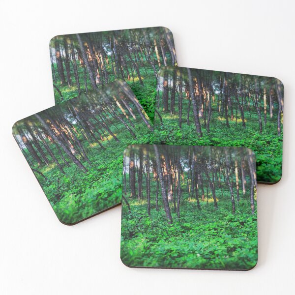 Item preview, Patchy Sunlight In The Woods designed and sold by bloomingvine.