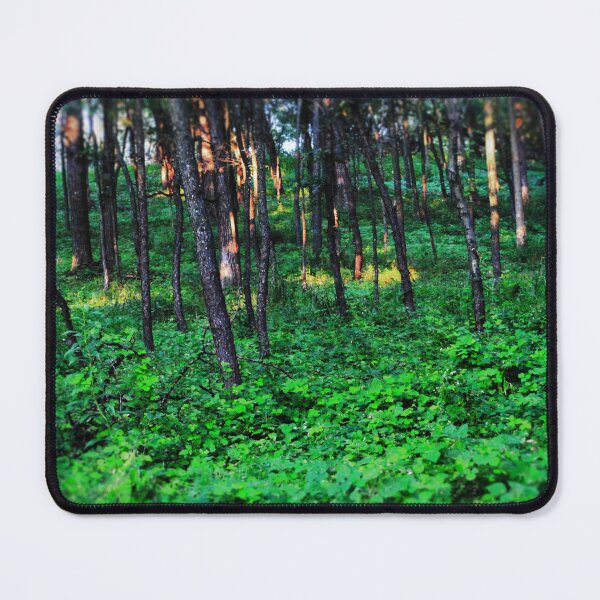 Item preview, Patchy Sunlight In The Woods designed and sold by bloomingvine.