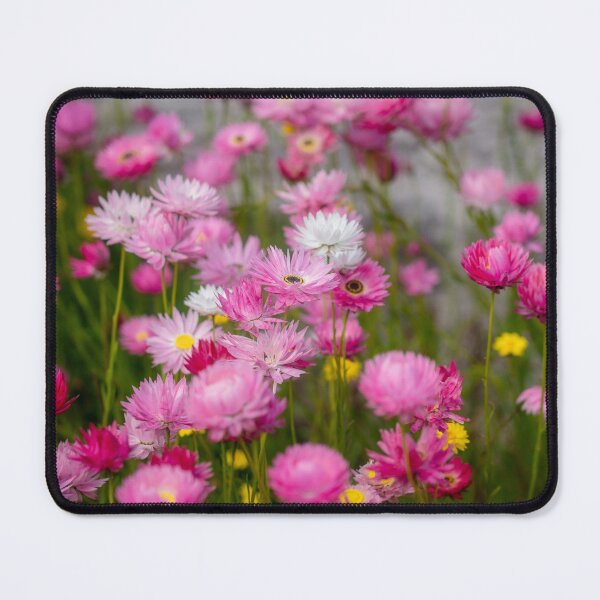 Item preview, Paper Daisies designed and sold by yolanda.