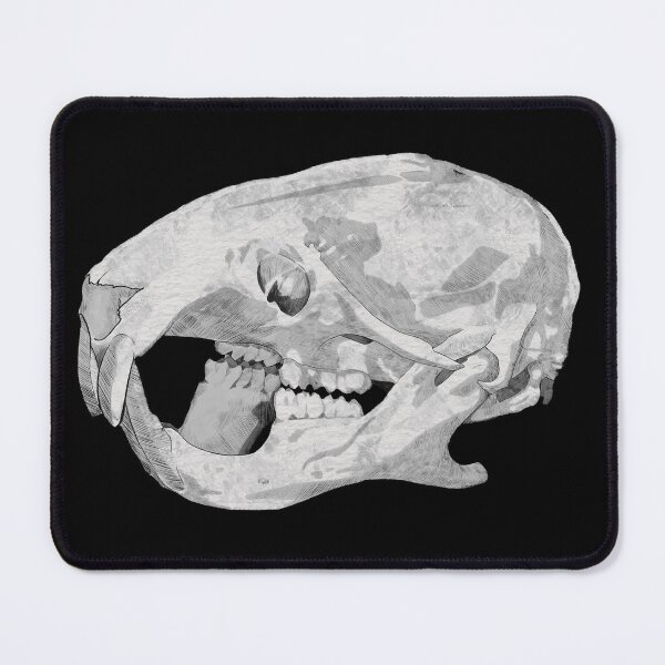 Item preview, Hamster skull designed and sold by CoffinBoneArt.
