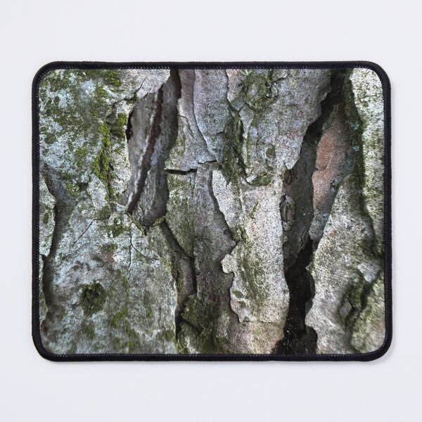 Item preview, A close-up view of the cracked bark of the tree  designed and sold by PavlinaBFDesign.