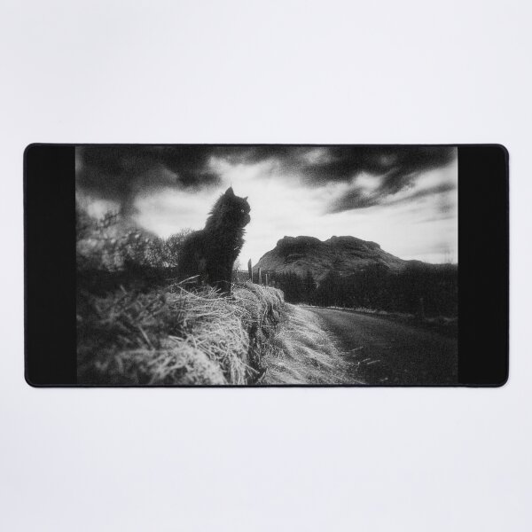 Item preview, The Lone Cat designed and sold by View From The Grave.