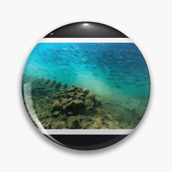 Item preview, Fishes on a wreck at Medulin reef in Croatia designed and sold by Tom Sillen.