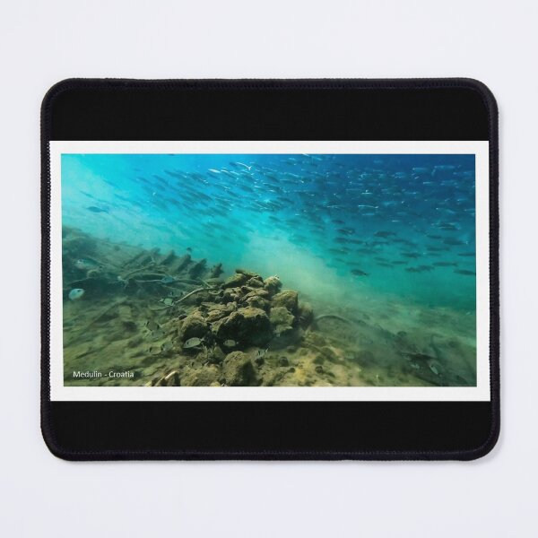 Item preview, Fishes on a wreck at Medulin reef in Croatia designed and sold by Tom Sillen.
