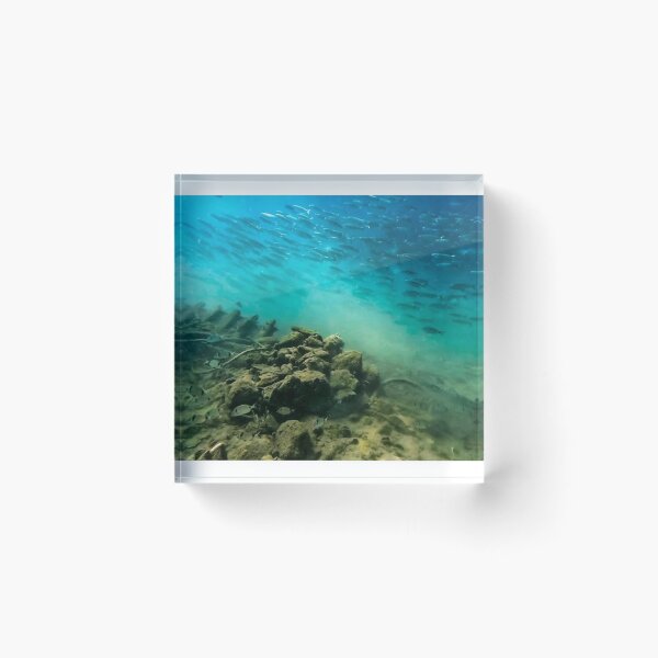 Item preview, Fishes on a wreck at Medulin reef in Croatia designed and sold by Tom Sillen.