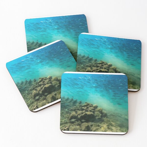 Item preview, Fishes on a wreck at Medulin reef in Croatia designed and sold by Tom Sillen.