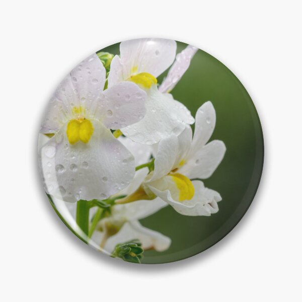 Item preview, Hottonia Palustris at RHS Wisley Gardens – That Surrey Life designed and sold by ThatSurreyLife.