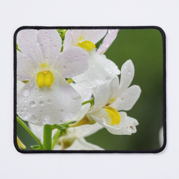 Item preview, Hottonia Palustris at RHS Wisley Gardens – That Surrey Life designed and sold by ThatSurreyLife.