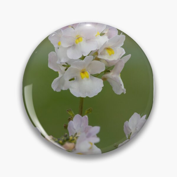 Item preview, Hottonia Palustris at RHS Wisley Gardens – That Surrey Life designed and sold by ThatSurreyLife.