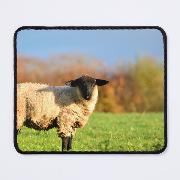 Item preview, Autumnal Sheep designed and sold by Isaac Moore.