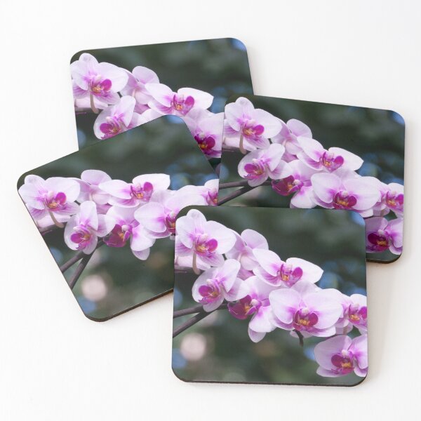 Item preview, Pink Purple Lilac Moth Orchid at RHS Wisley Gardens – That Surrey Life designed and sold by ThatSurreyLife.