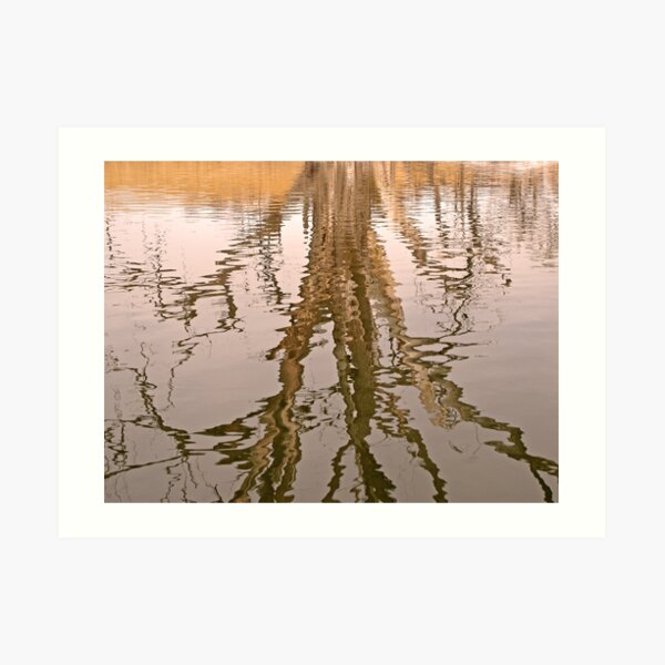 Liquid Limbs Art Print