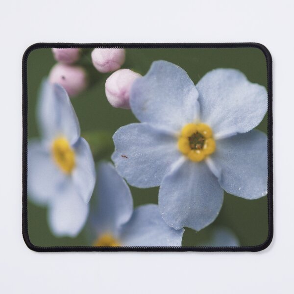Item preview, Forget Me Not, vertical pattern designed and sold by mfsphotographs.