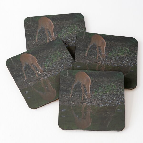 Item preview, Down at the creek designed and sold by mfsphotographs.