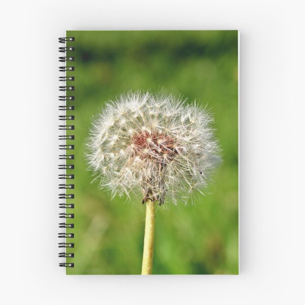 Item preview, seeding dandelion  designed and sold by McFleur's Lens.