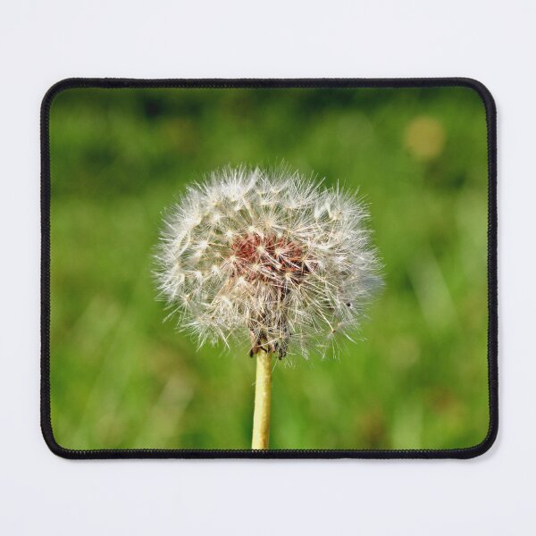 Item preview, seeding dandelion  designed and sold by McFleur's Lens.
