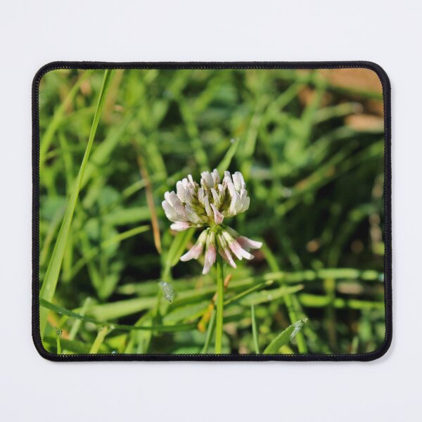 Item preview, Dewy clover flower  designed and sold by McFleur's Lens.