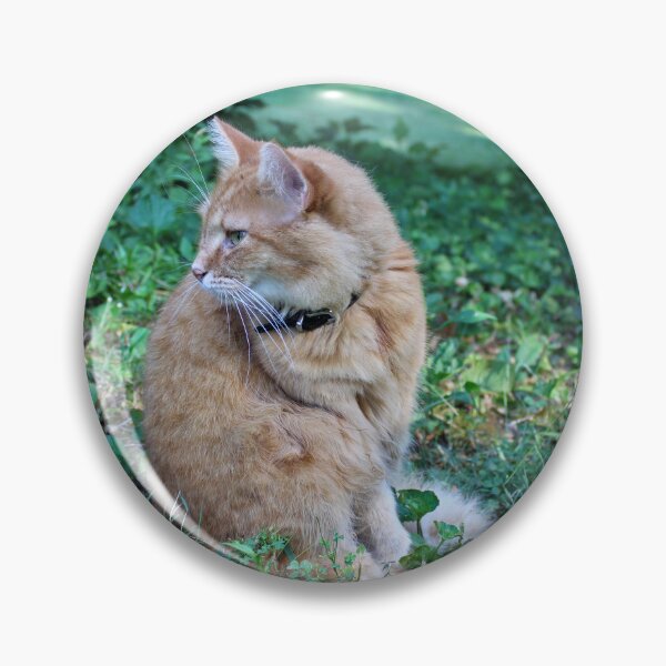 Item preview, Tan cat designed and sold by McFleur's Lens.