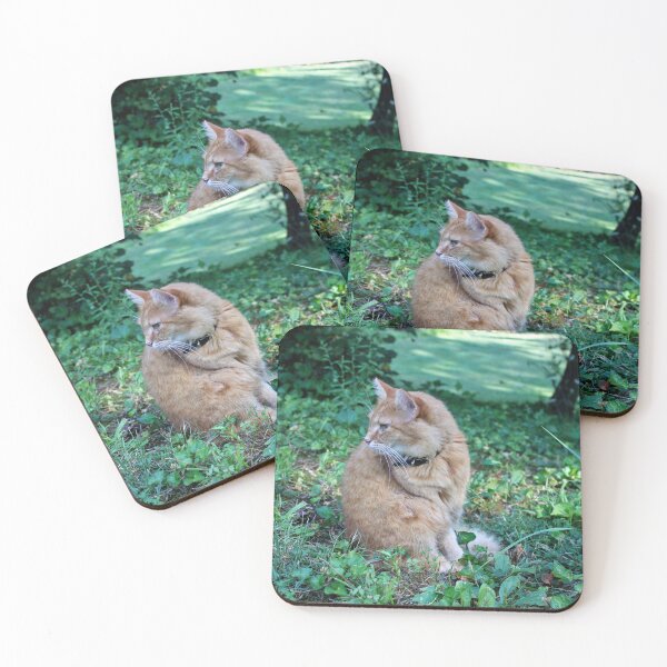 Item preview, Tan cat designed and sold by McFleur's Lens.