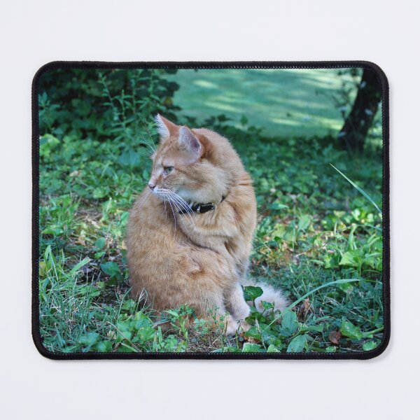 Item preview, Tan cat designed and sold by McFleur's Lens.
