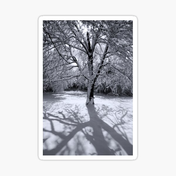 Fresh Snow Sticker