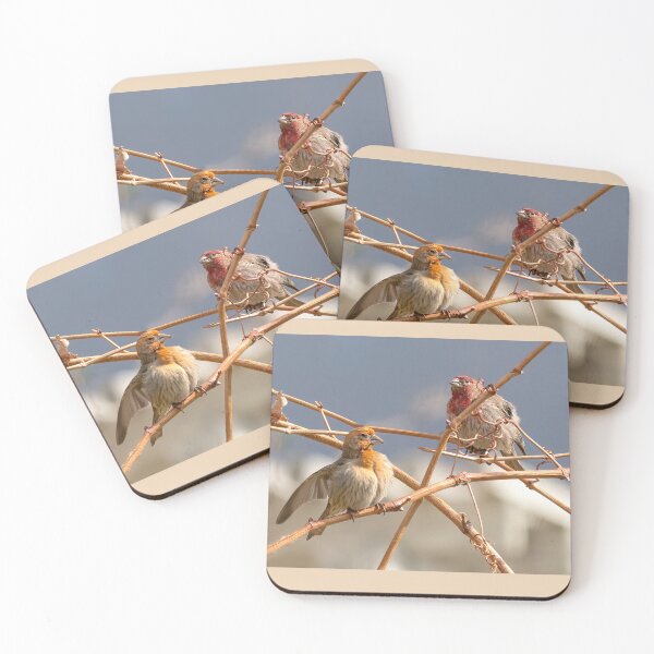 Item preview, House Finches Of Different Colors designed and sold by CarolM.