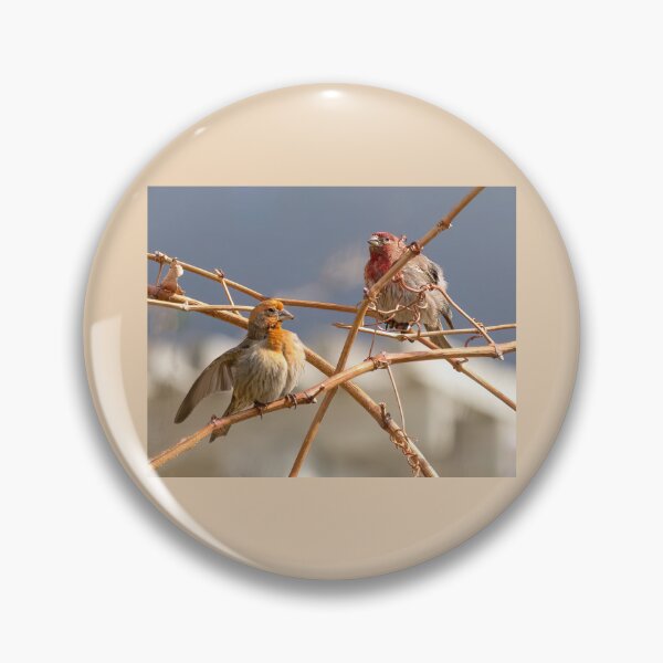 Item preview, House Finches Of Different Colors designed and sold by CarolM.