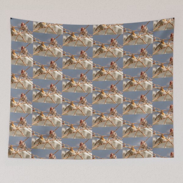 Item preview, House Finches Of Different Colors designed and sold by CarolM.