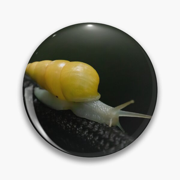 Item preview, Golden Snail on a Wire designed and sold by SafariByMarisa.