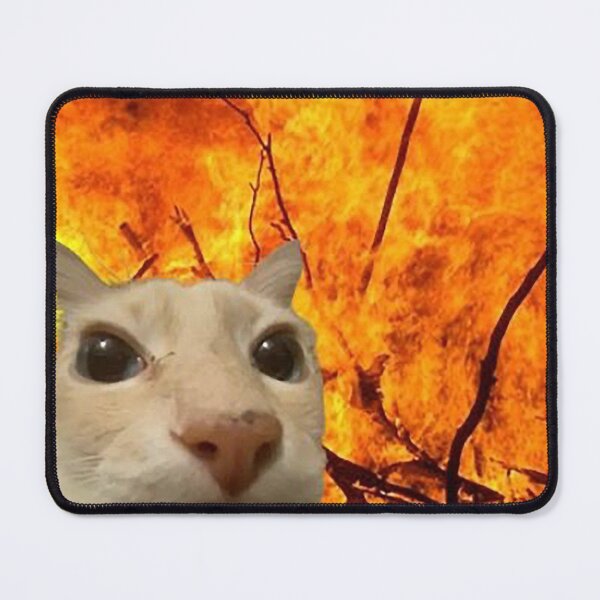 Item preview, Funny cat destroyed my house designed and sold by nuila.