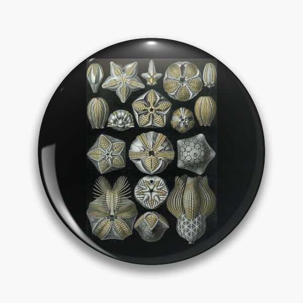Item preview, Order Radiolaria designed and sold by PatronesKawai.