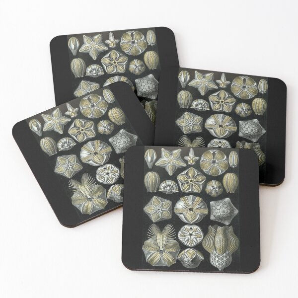 Item preview, Order Radiolaria designed and sold by PatronesKawai.