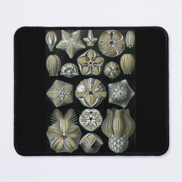 Item preview, Order Radiolaria designed and sold by PatronesKawai.