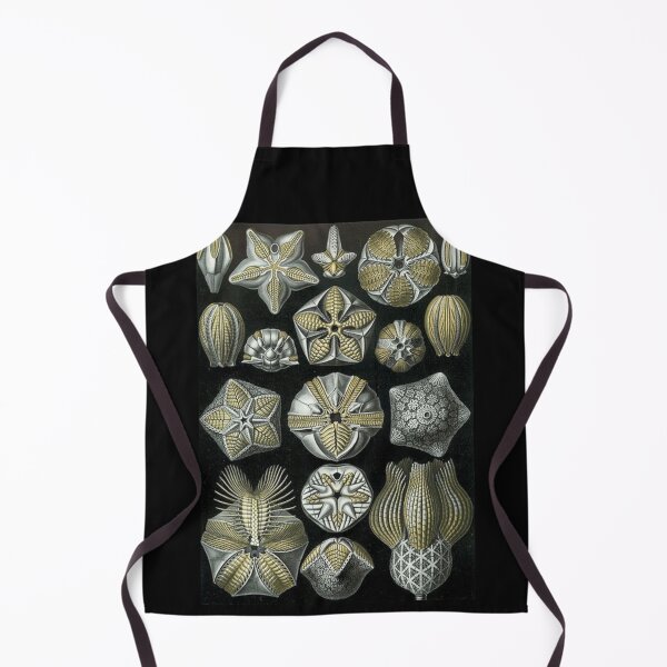 Item preview, Order Radiolaria designed and sold by PatronesKawai.