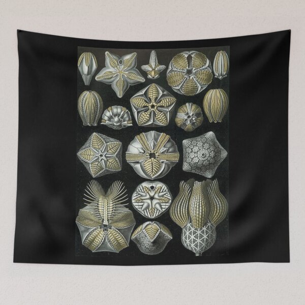 Item preview, Order Radiolaria designed and sold by PatronesKawai.