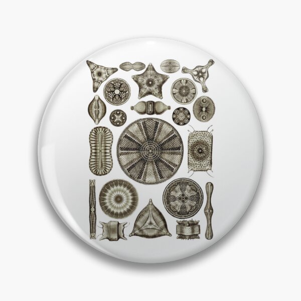 Item preview, Order Radiolaria II designed and sold by PatronesKawai.