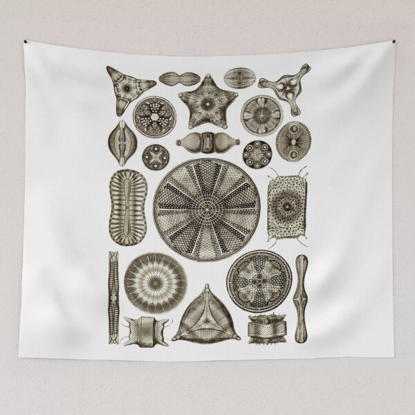 Item preview, Order Radiolaria II designed and sold by PatronesKawai.