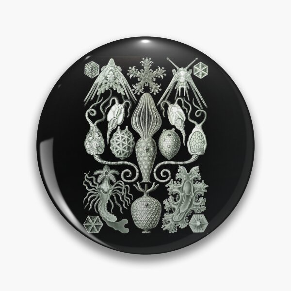 Item preview, Order Radiolaria designed and sold by PatronesKawai.