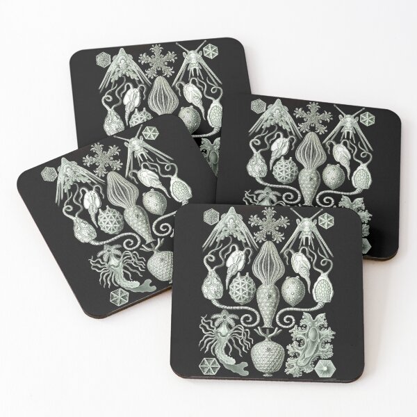 Item preview, Order Radiolaria designed and sold by PatronesKawai.
