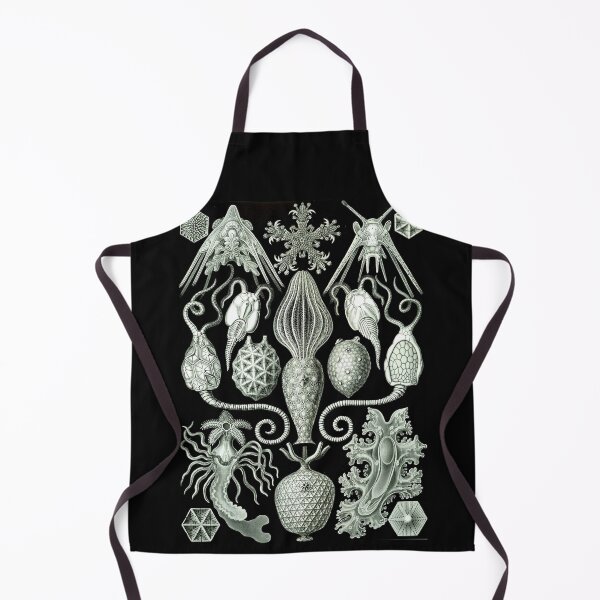 Item preview, Order Radiolaria designed and sold by PatronesKawai.