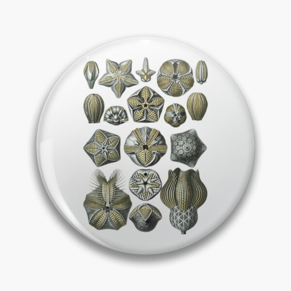 Item preview, Order Radiolaria designed and sold by PatronesKawai.