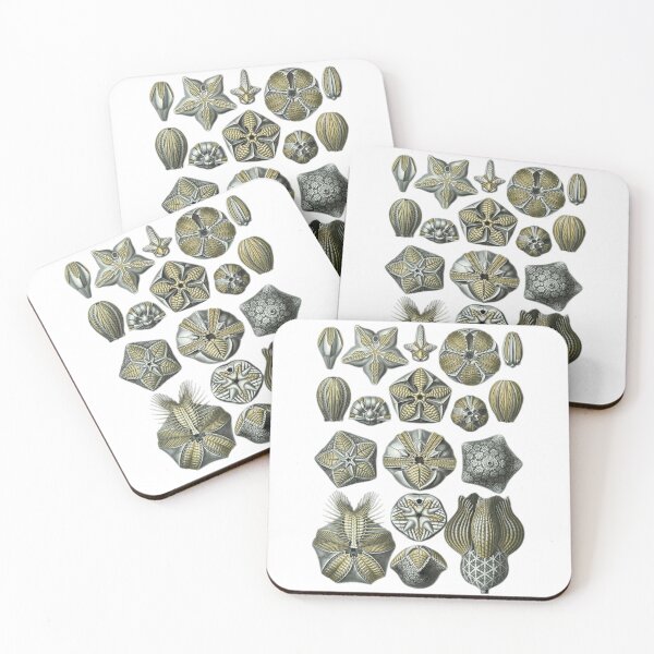 Item preview, Order Radiolaria designed and sold by PatronesKawai.