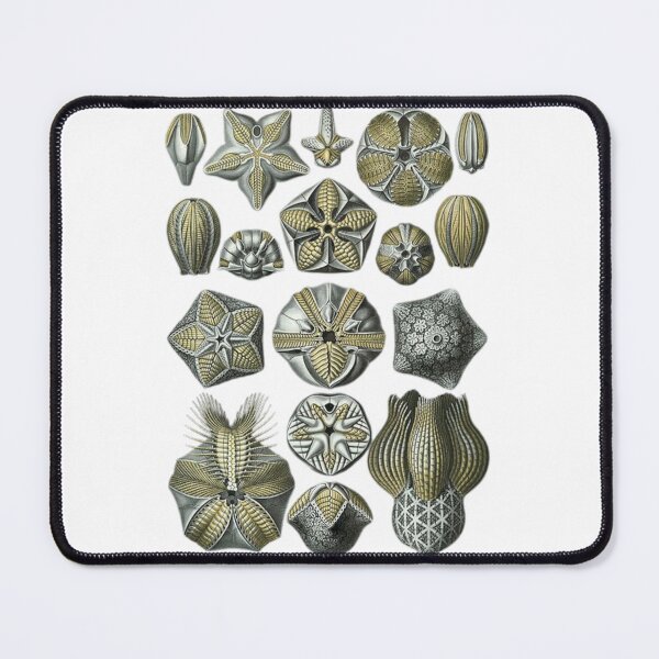 Item preview, Order Radiolaria designed and sold by PatronesKawai.