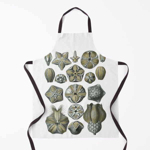 Item preview, Order Radiolaria designed and sold by PatronesKawai.