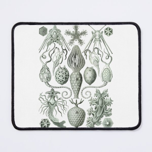 Item preview, Order Radiolaria IV designed and sold by PatronesKawai.