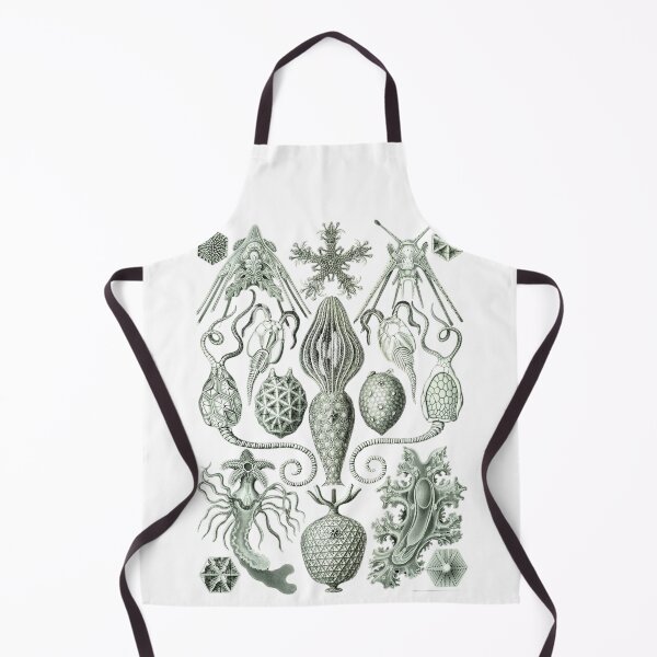 Item preview, Order Radiolaria IV designed and sold by PatronesKawai.