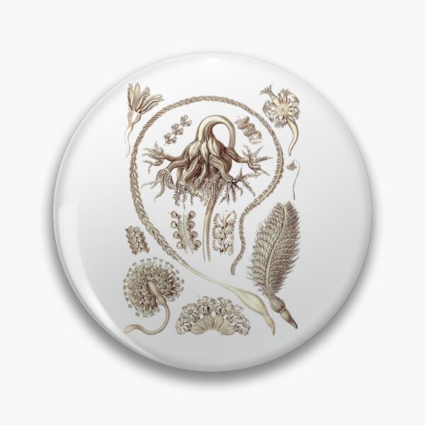 Item preview, Order Scleractinia designed and sold by PatronesKawai.